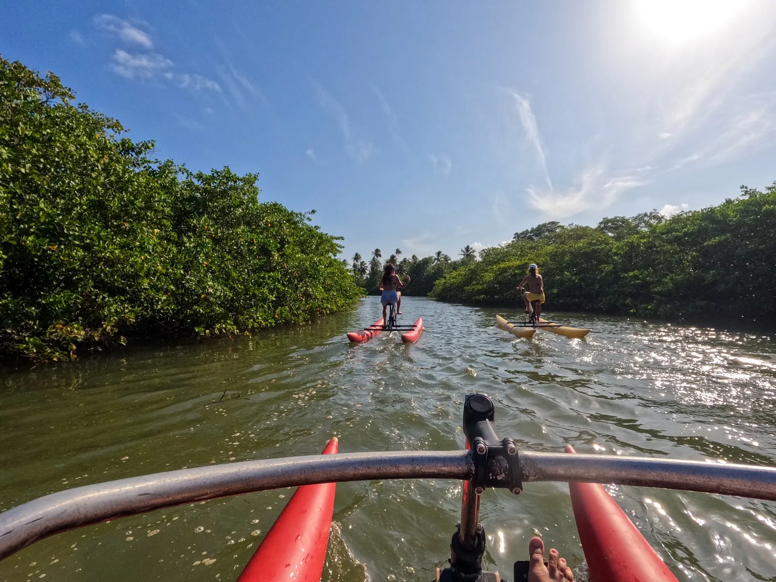 Rio de Tatuamunha entre manguezais, visto de um barco a pedal