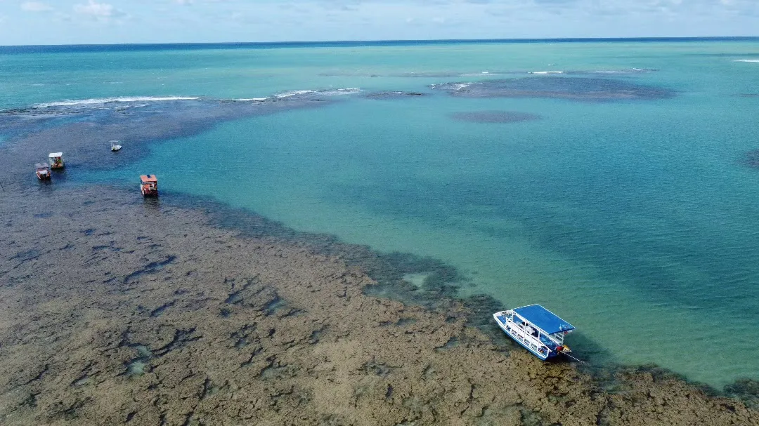 Mar raso e recifes na Rota Ecológica dos Milagres, Alagoas
