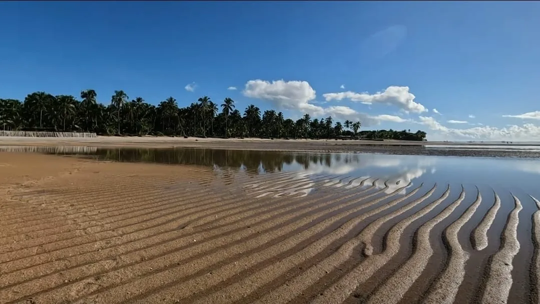 Maré baixa em Tatuamunha, Milagres, Alagoas