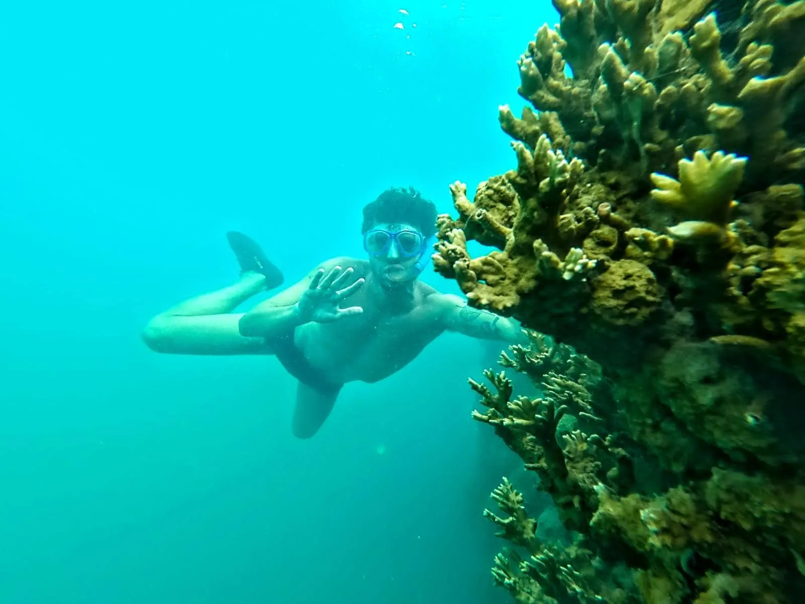 Mergulho no mar de Tatuamunha, no litoral de Alagoas