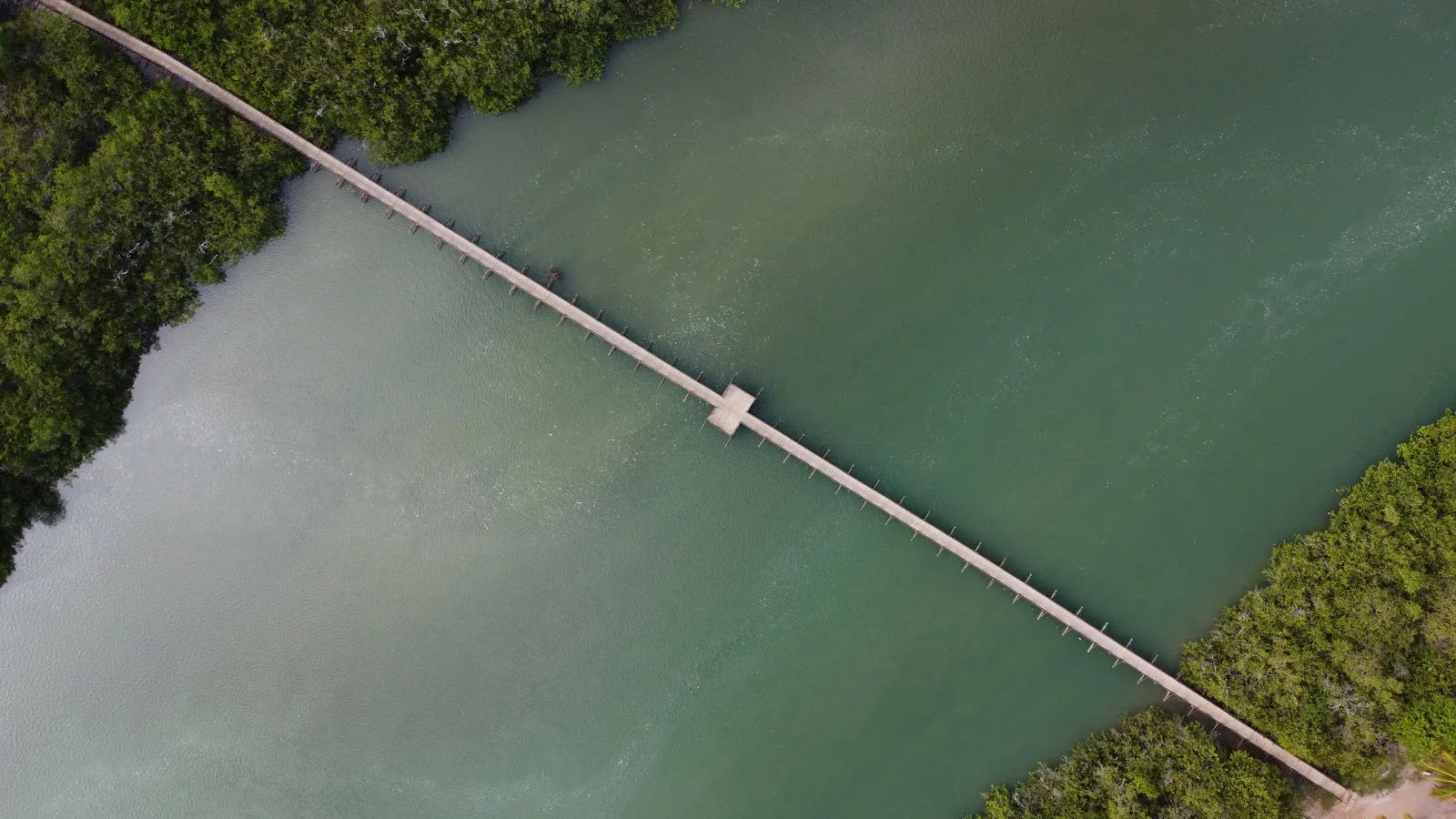 Rio Tatuamunha e manguezal na Rota Ecológica dos Milagres, Alagoas