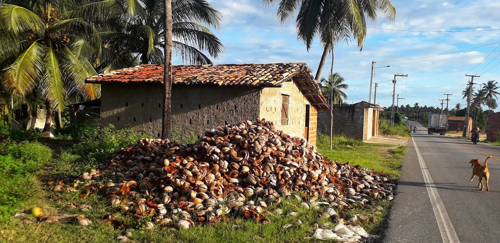 Casa amarela de vila, com varanda e vegetação tropical ao redor