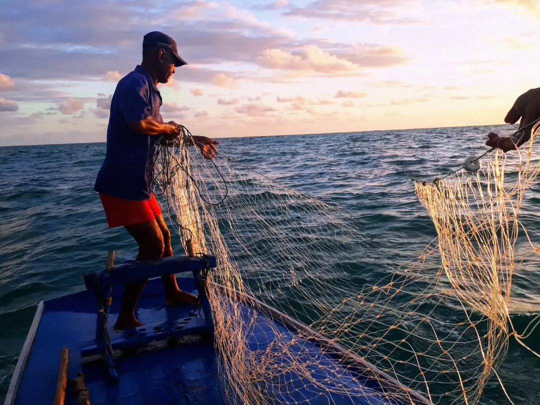 Pescador recolhendo a rede no mar ao entardecer, em Tatuamunha