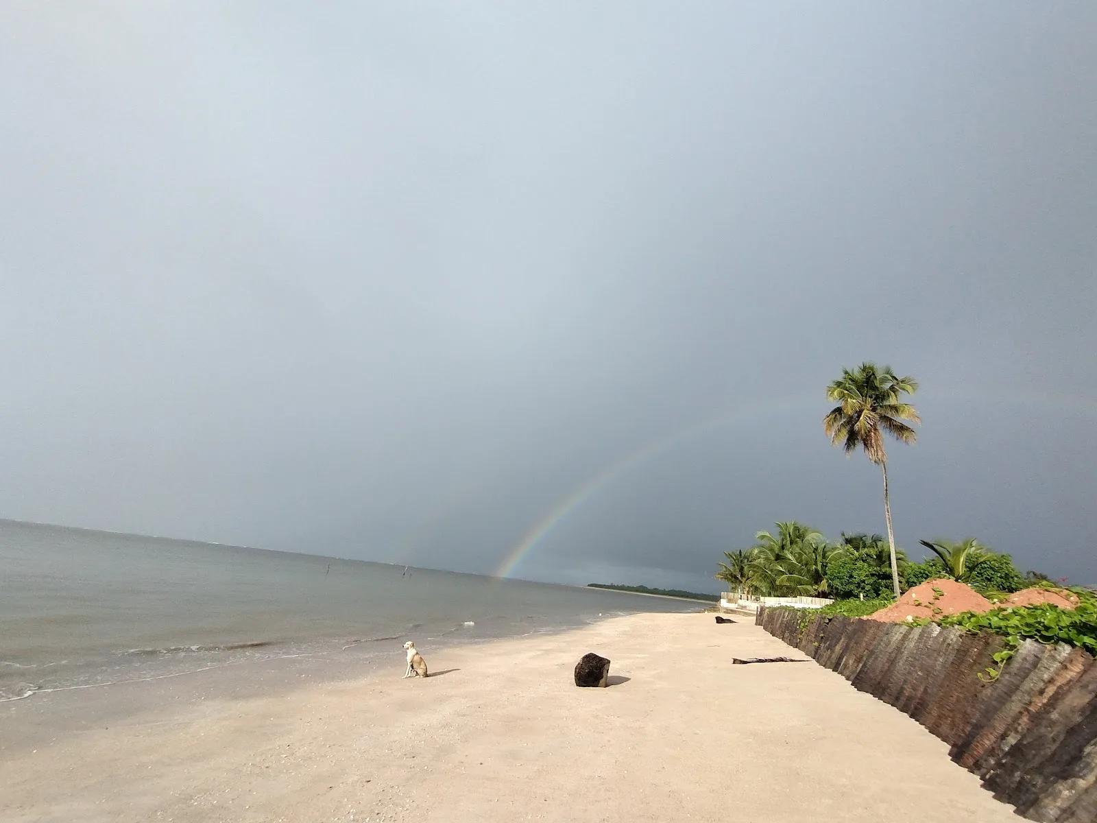 Praia de Tatuamunha sob um céu carregado, com um coqueiro e um arco-íris ao fundo